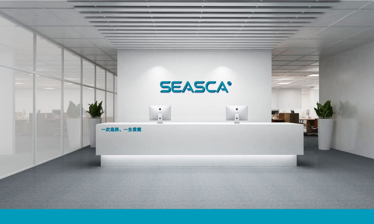 深圳市SEASCA标志设计