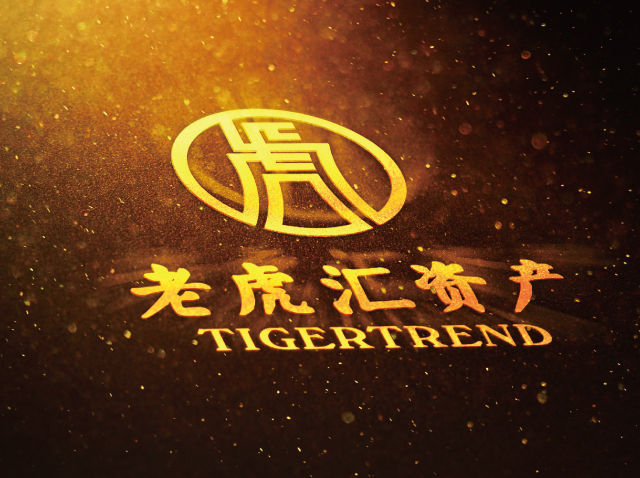 深圳公司logo设计(老虎汇)