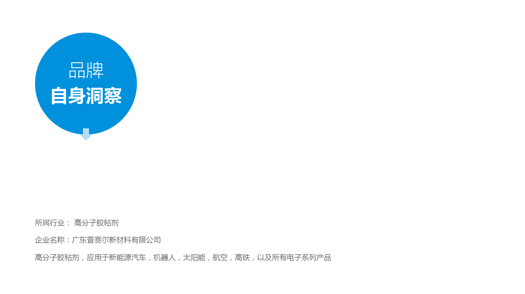 广东深圳/东莞普赛尔(POSOL)商标-品牌logo设计案例作品欣赏