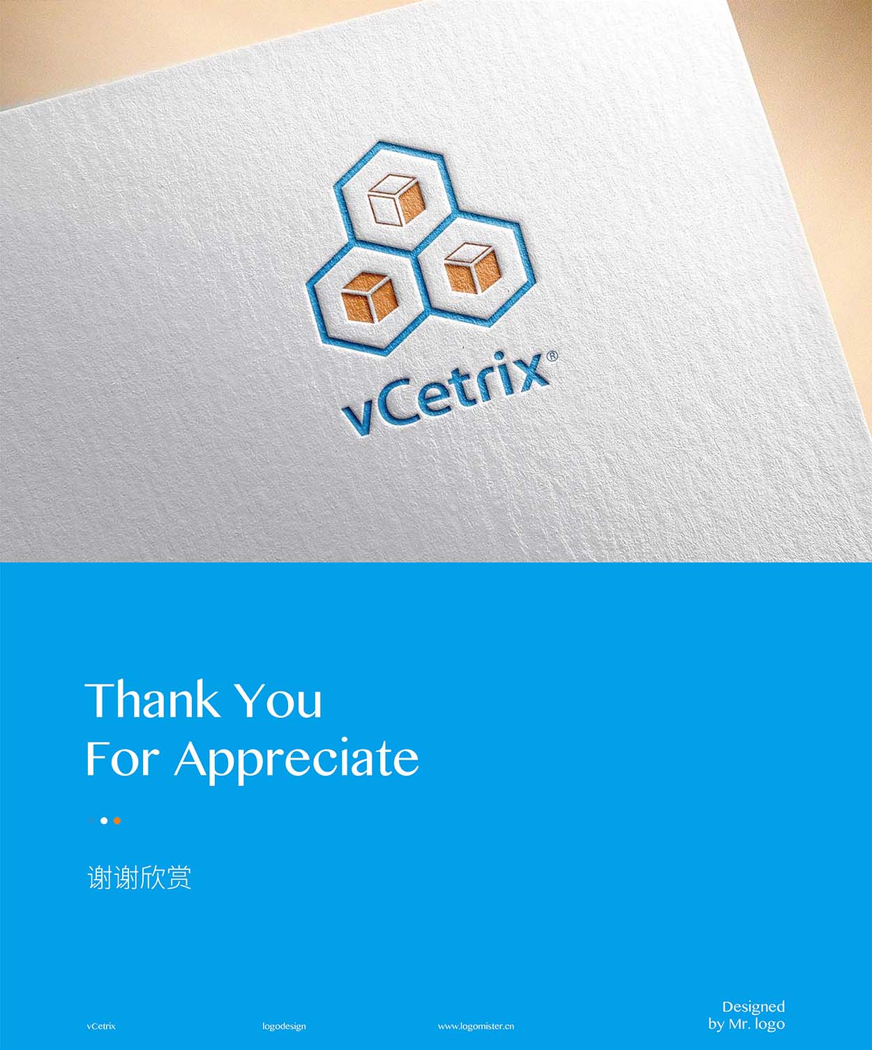 深圳系统logo设计-vCetrix标志设计5.jpg