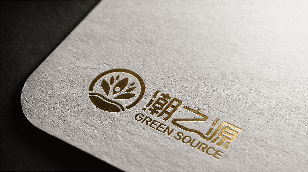 深圳食品logo设计-潮之源标志外卖配送标志设计-14.jpg